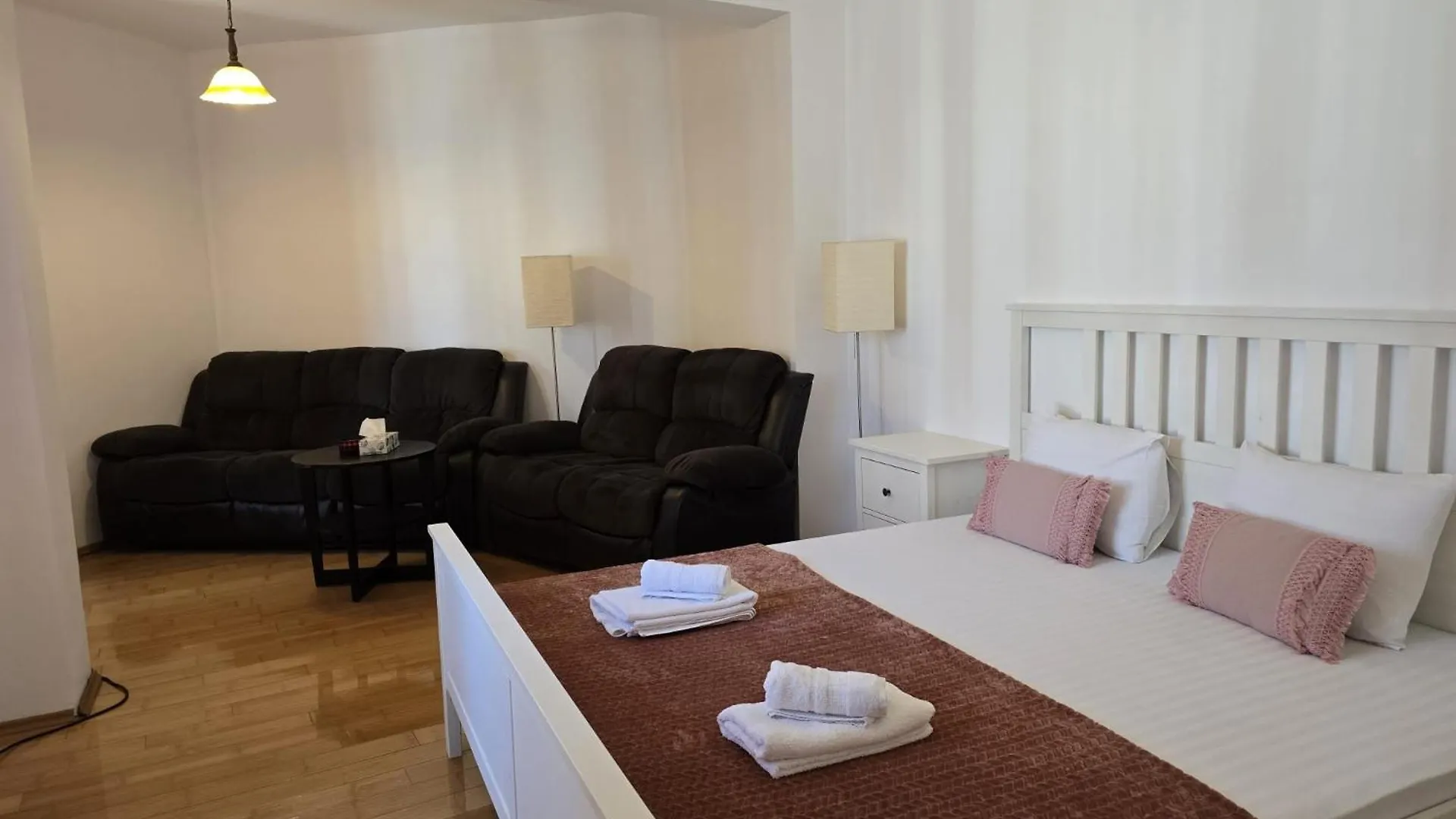 Vila Ris 3 Filibiliu 12 Bucharest Guest house