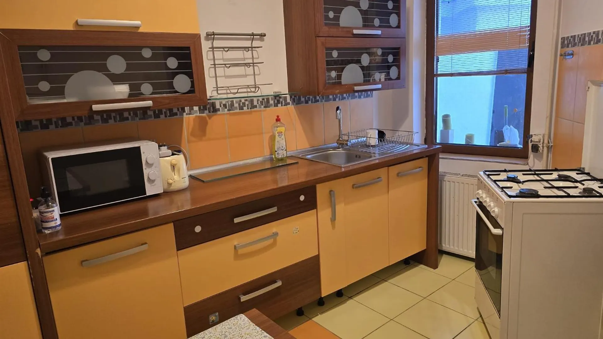 Vila Ris 3 Filibiliu 12 Bucharest Guest house